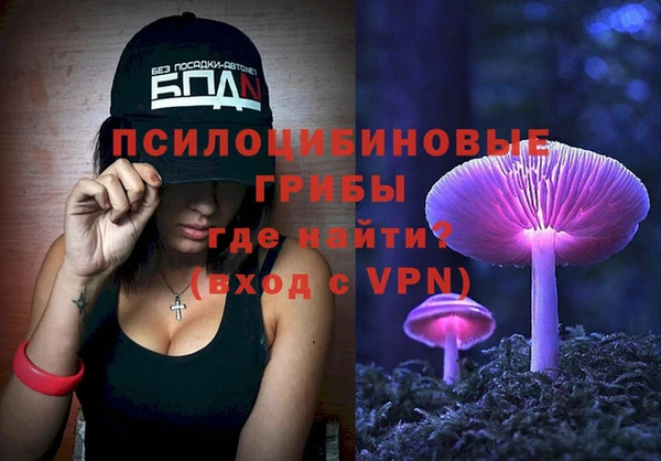 СК Сосновый Бор