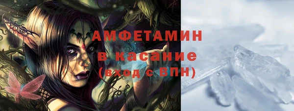 СК Сосновый Бор
